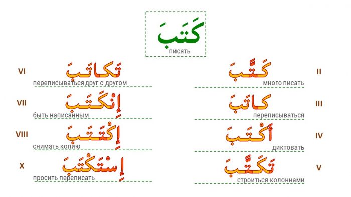 Таблица породы арабского языка